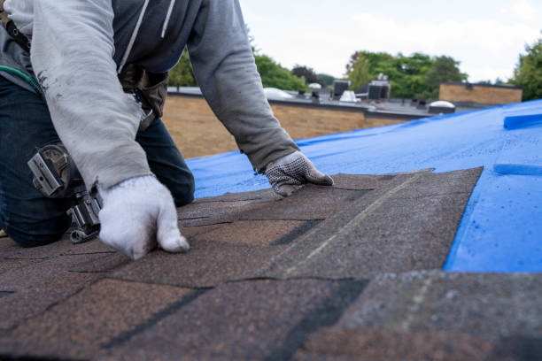 Professional  Roofing repair and installation in Spring Lake Park, MN